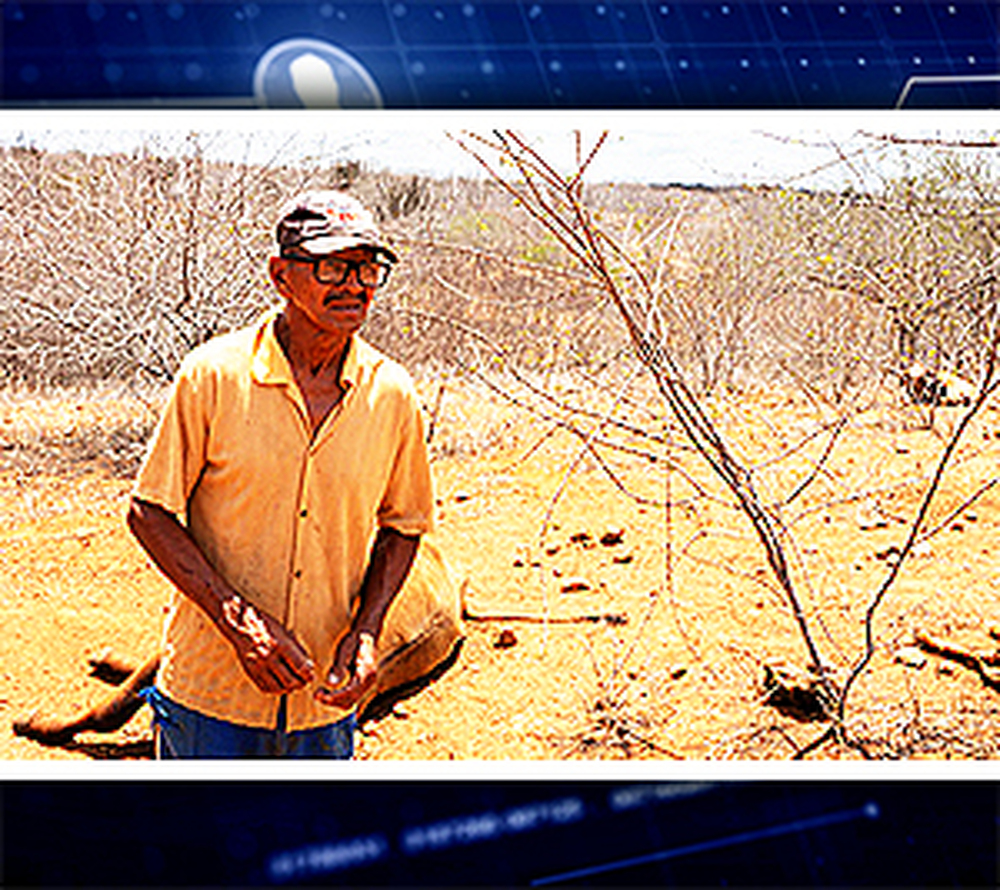 No mundo encantado de Paulo Guedes, famílias comem calangos e restos de carne no Rio Grande do Norte