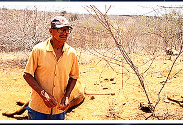 No mundo encantado de Paulo Guedes, famílias comem calangos e restos de carne no Rio Grande do Norte